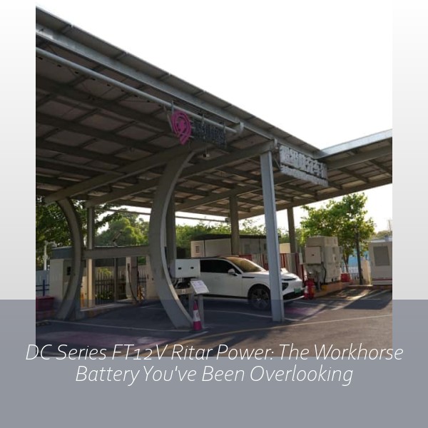 DC Series FT12V Ritar Power: The Workhorse Battery You've Been Overlooking